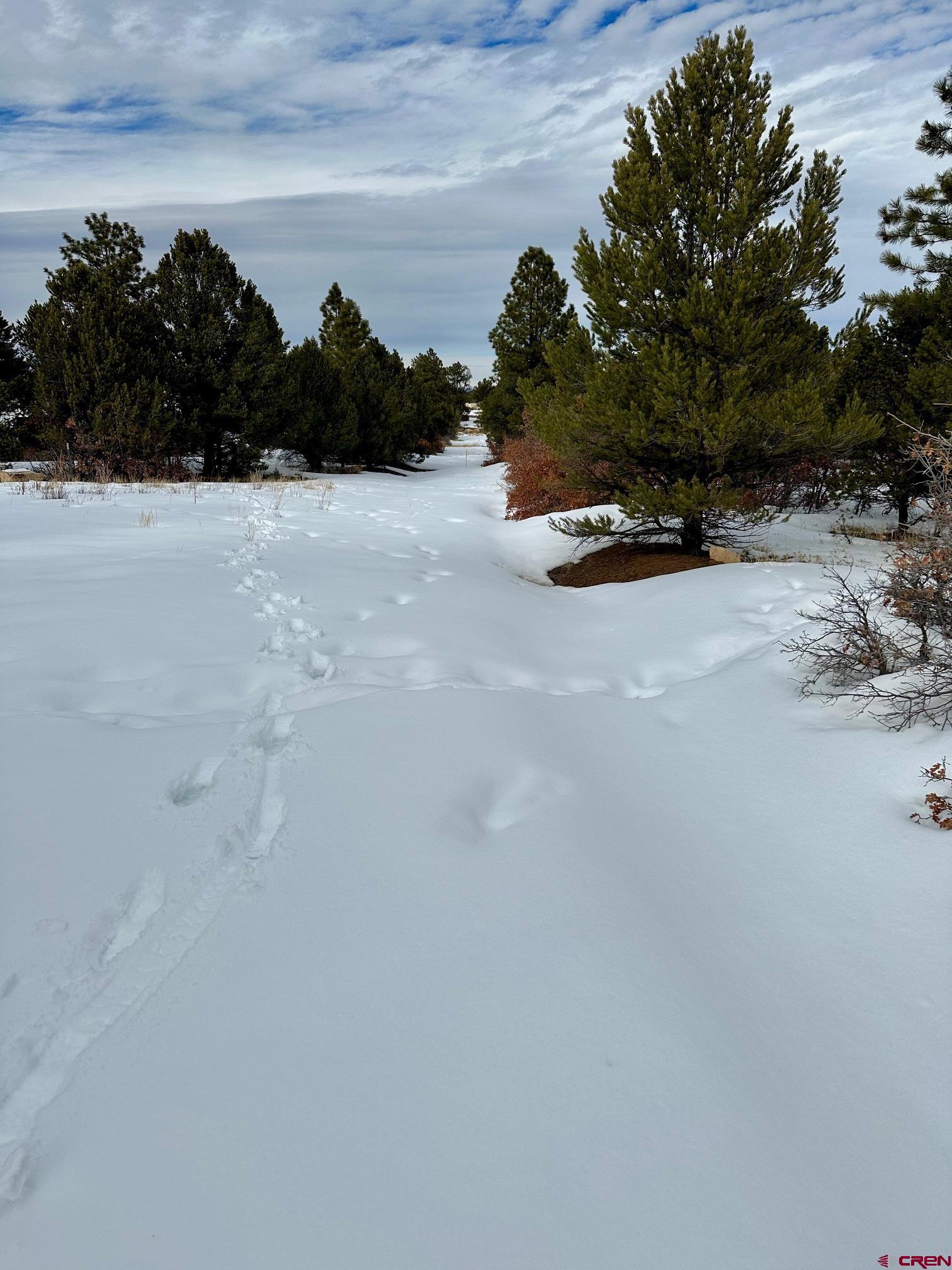 Tbd Tbd Badger North Trail Ridgway, CO 81432 - Photo 4 of 10 a view of outdoor space with city view