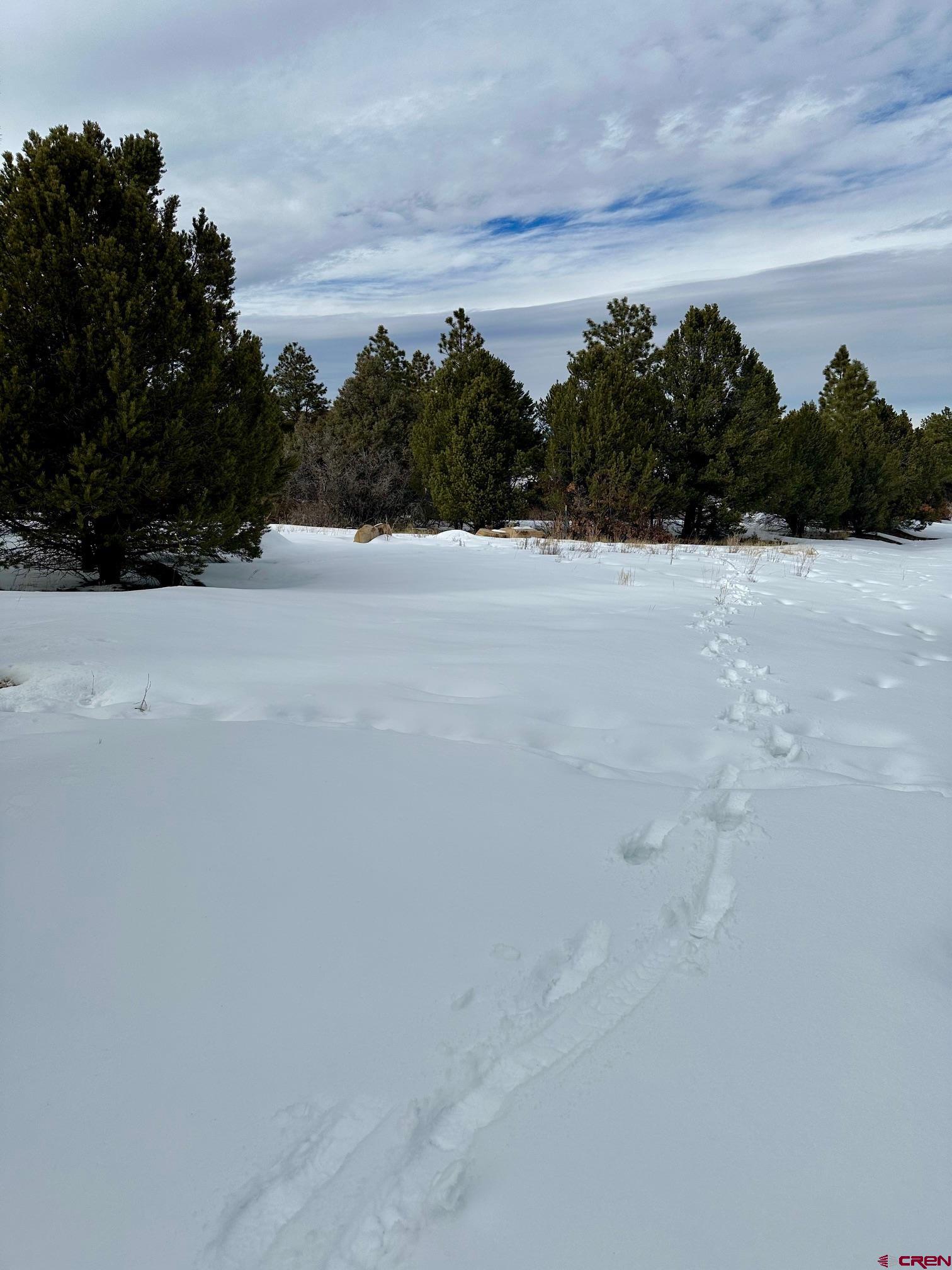 Tbd Tbd Badger North Trail Ridgway, CO 81432 - Photo 5 of 10 a view of a field