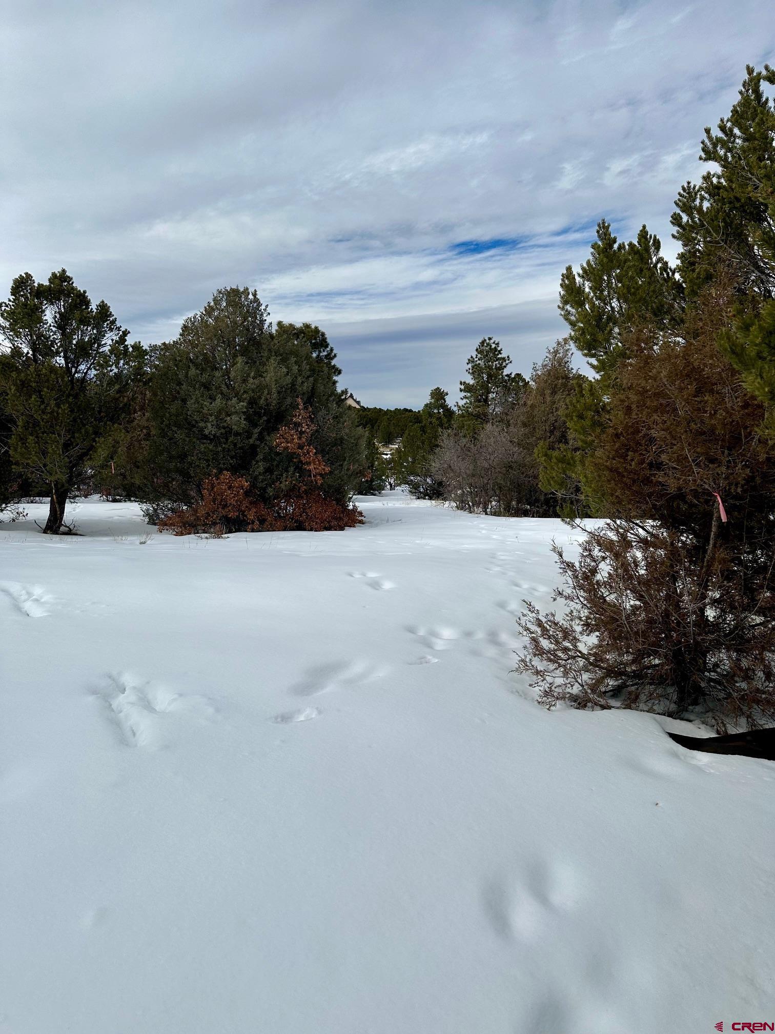 Tbd Tbd Badger North Trail Ridgway, CO 81432 - Photo 7 of 10 a view of dirt field and trees