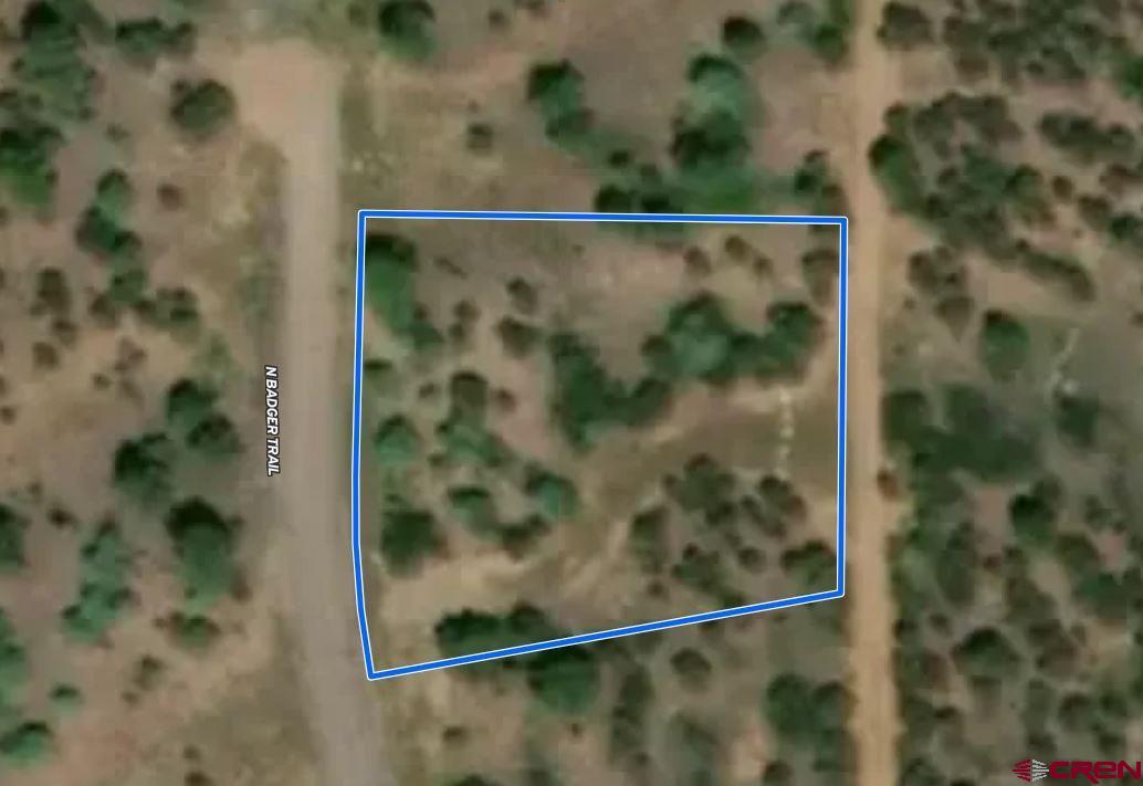 Tbd Tbd Badger North Trail Ridgway, CO 81432 - Photo 10 of 10