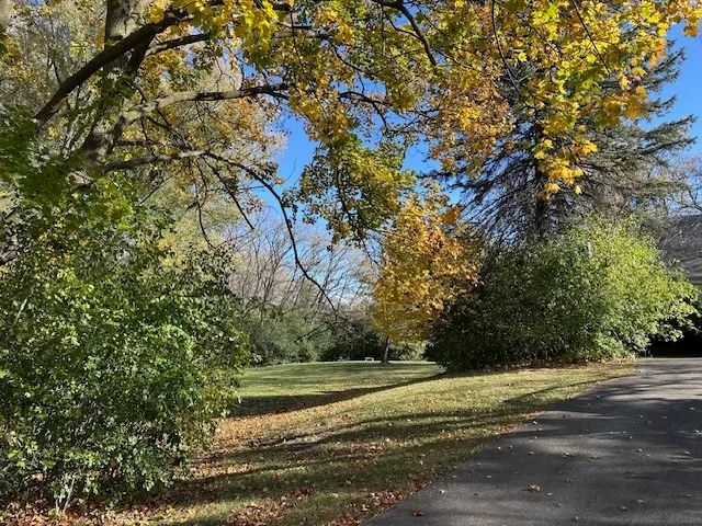 a view of a outdoor space
