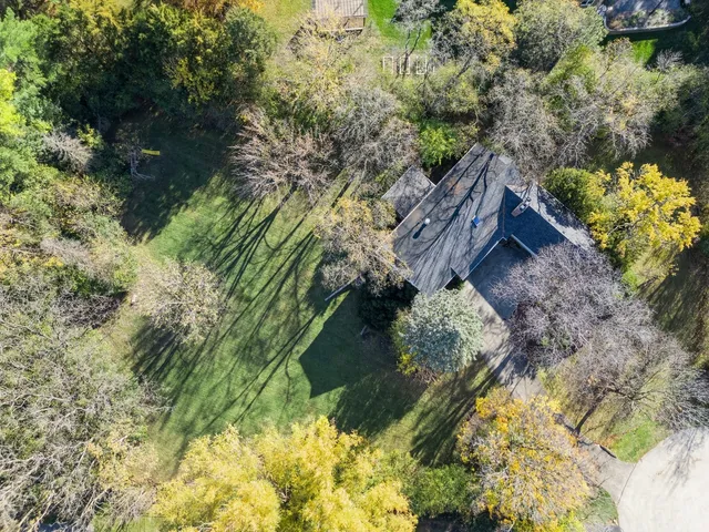 a bunch of flowers and trees