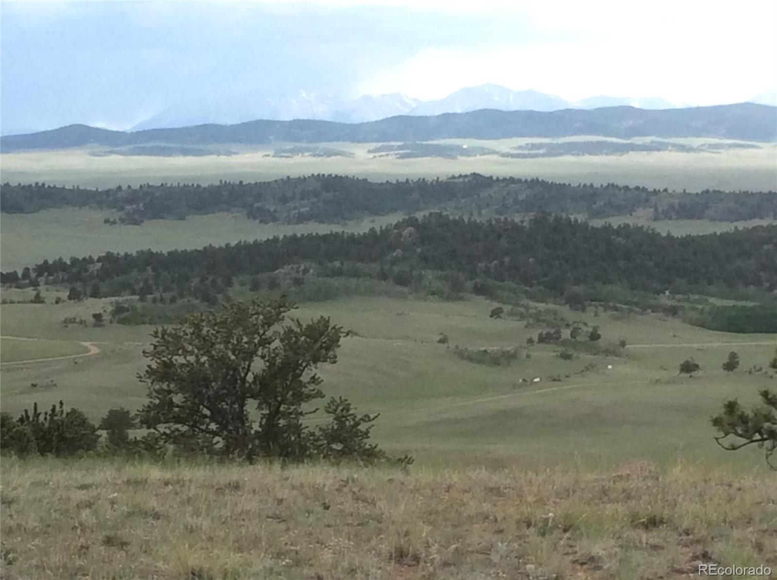7 Crow Road Hartsel, CO 80449 - Photo 1 of 28
