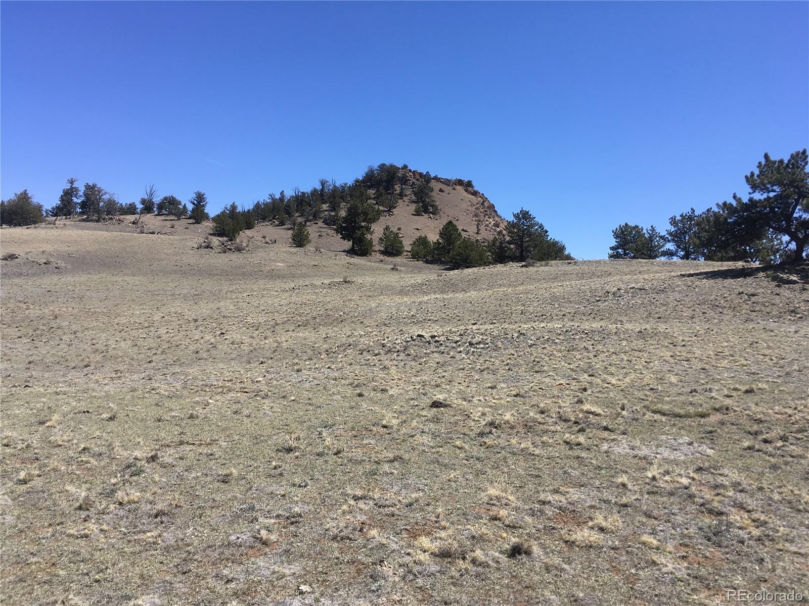 7 Crow Road Hartsel, CO 80449 - Photo 12 of 28