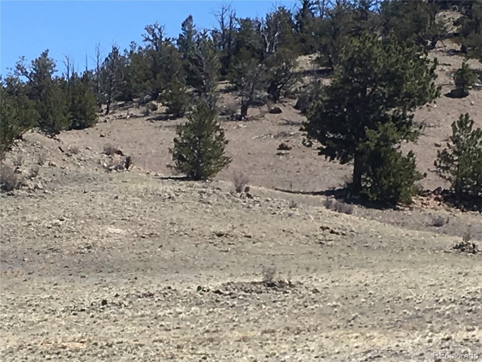 7 Crow Road Hartsel, CO 80449 - Photo 13 of 28