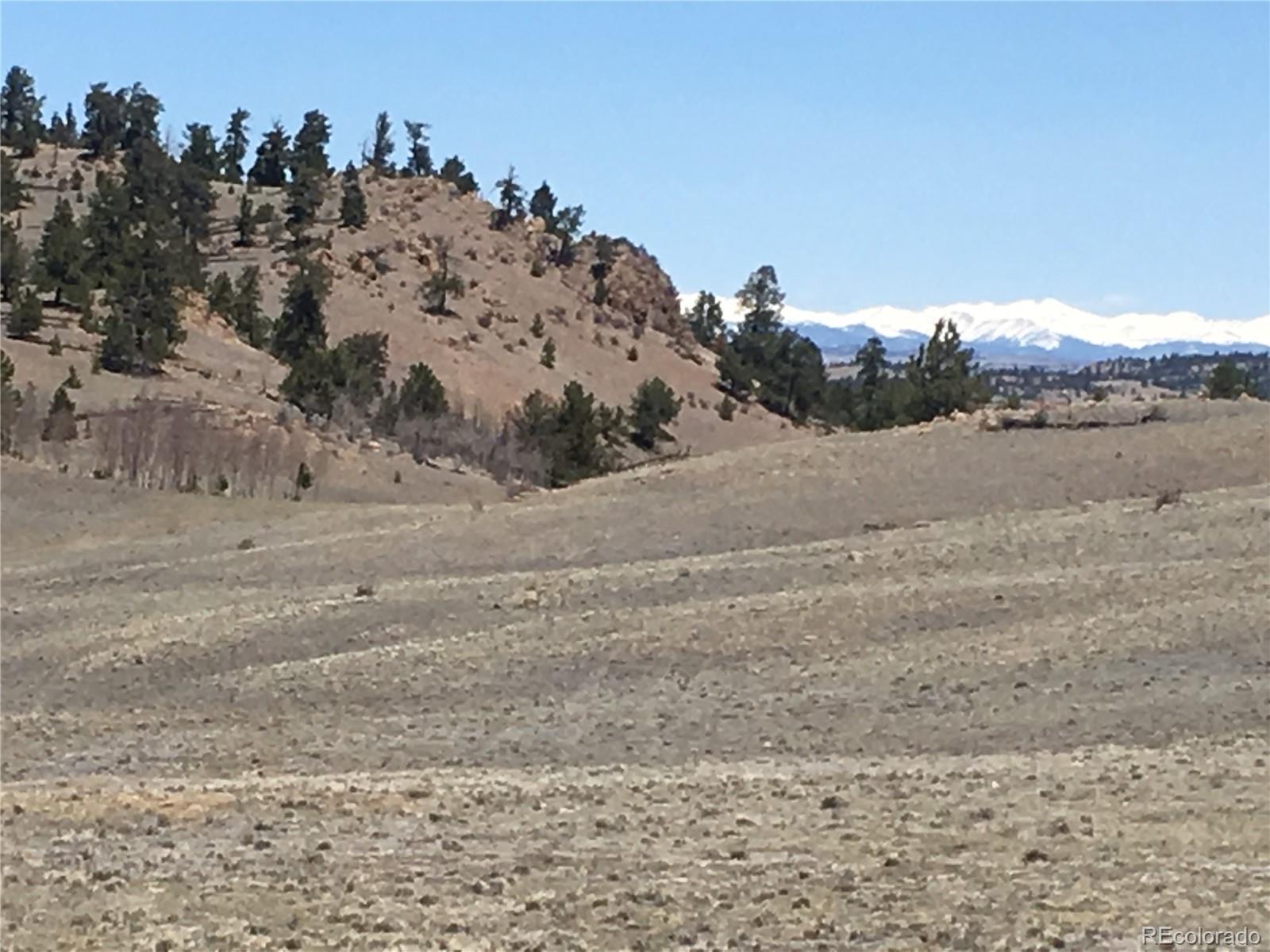 7 Crow Road Hartsel, CO 80449 - Photo 14 of 28