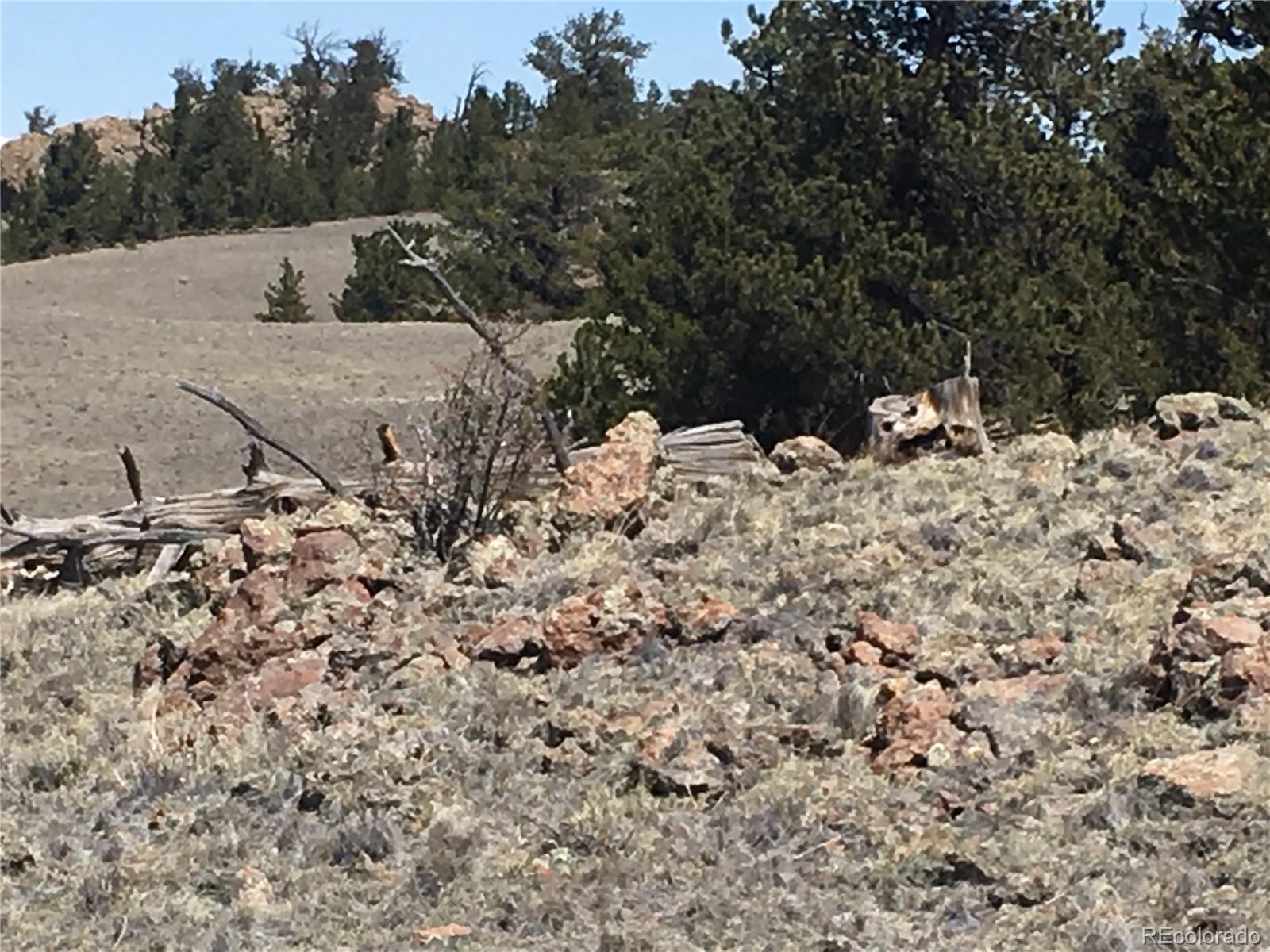 7 Crow Road Hartsel, CO 80449 - Photo 19 of 28