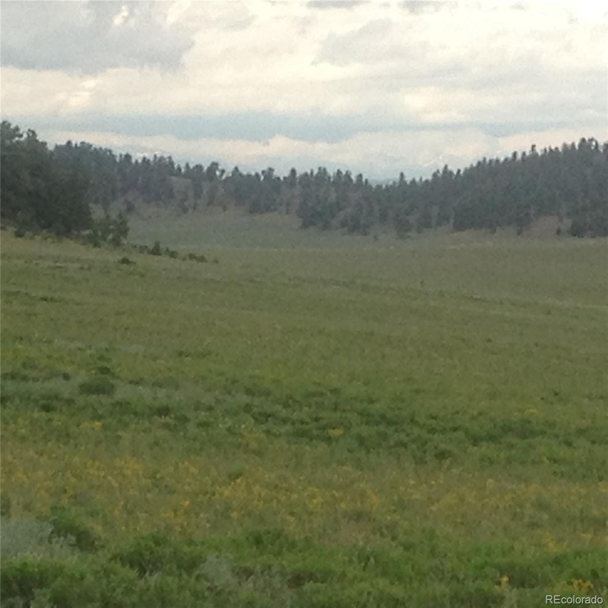 7 Crow Road Hartsel, CO 80449 - Photo 2 of 28