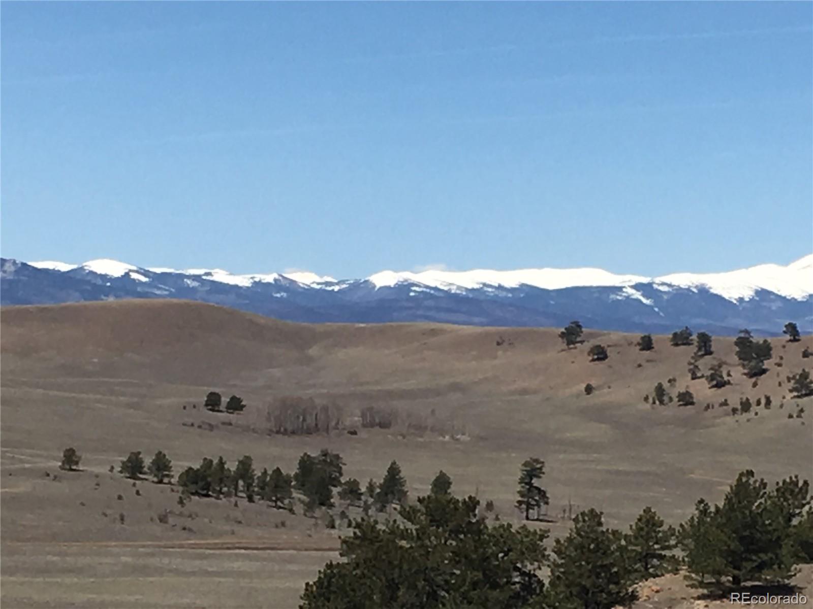 7 Crow Road Hartsel, CO 80449 - Photo 21 of 28