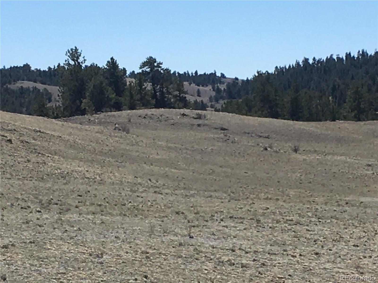 7 Crow Road Hartsel, CO 80449 - Photo 23 of 28