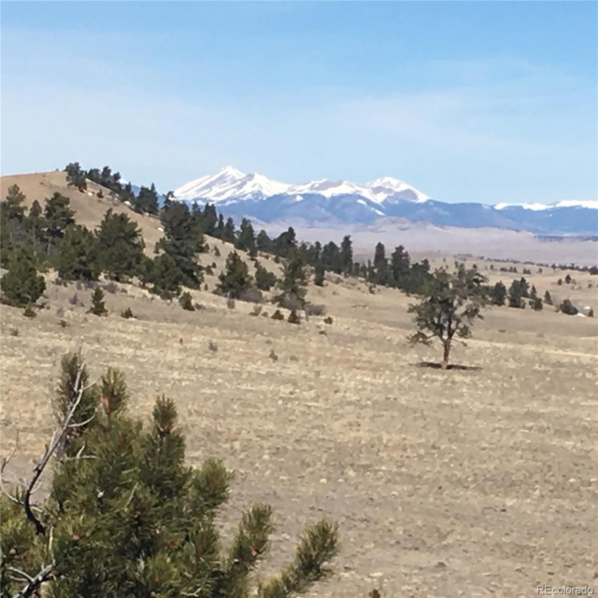 7 Crow Road Hartsel, CO 80449 - Photo 9 of 28