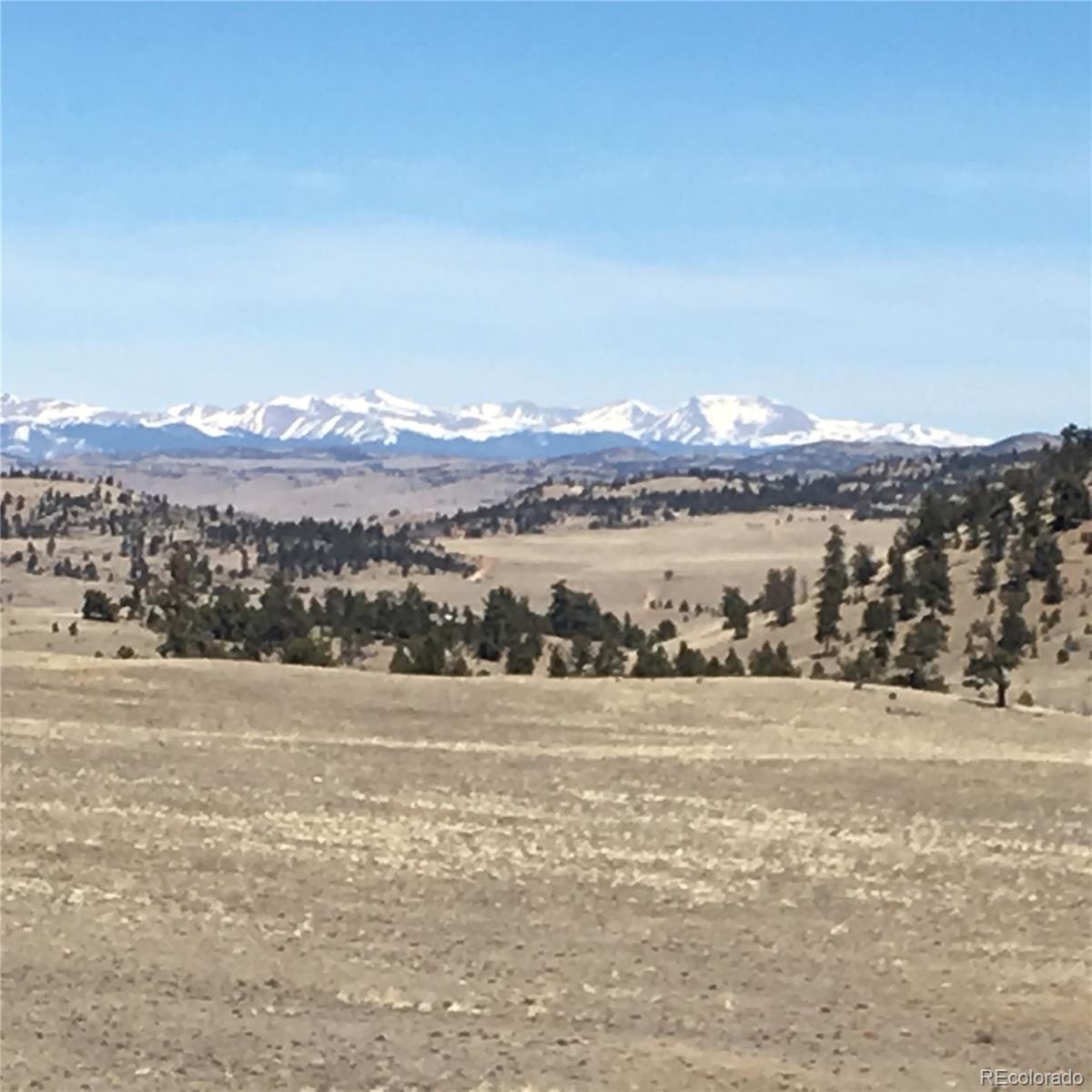 7 Crow Road Hartsel, CO 80449 - Photo 10 of 28