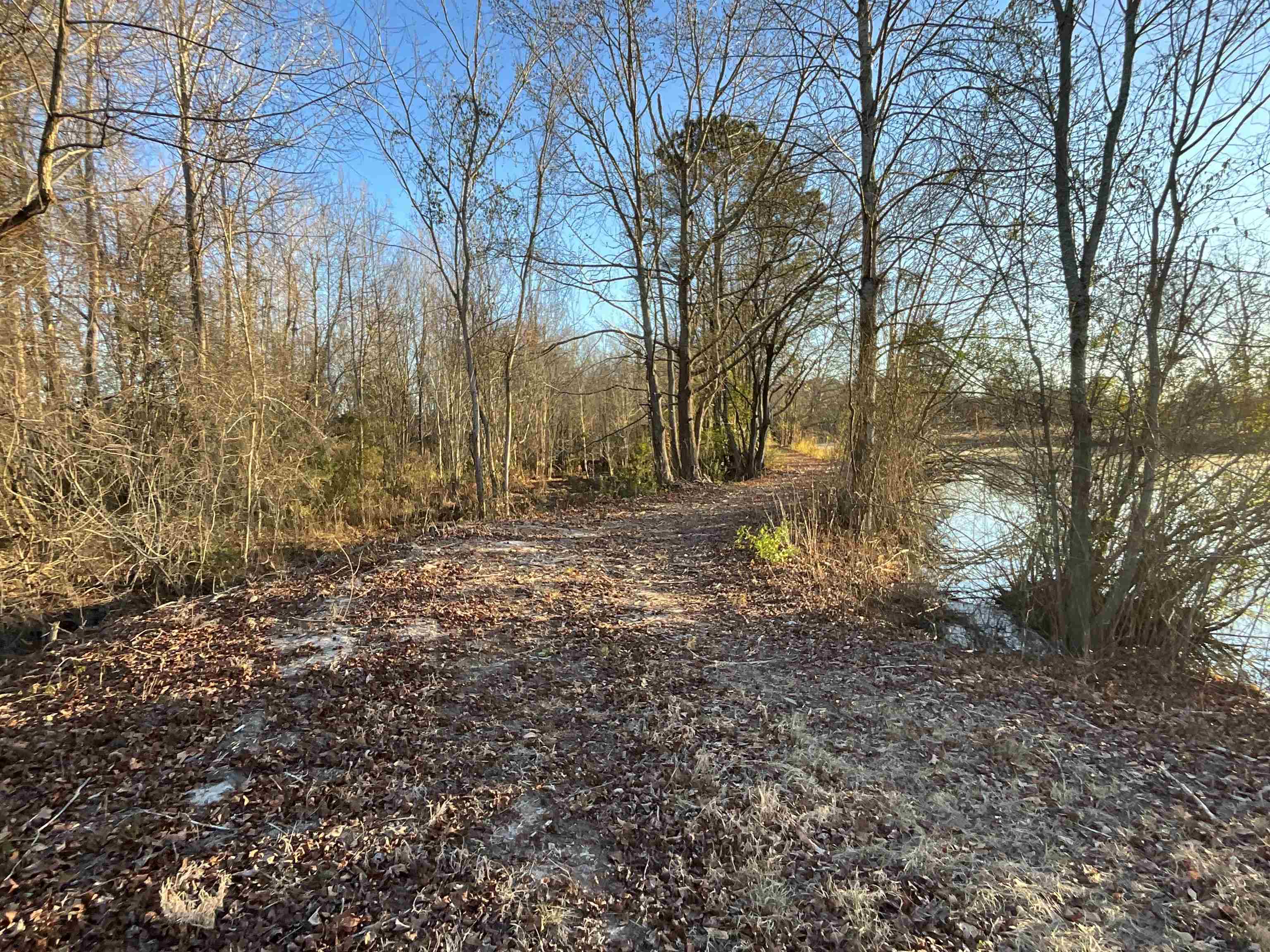 Tbd Senator Gasque Road Mullins, SC 29574 - Photo 14 of 15