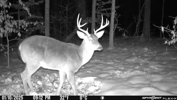 an empty room with window and ceiling fan