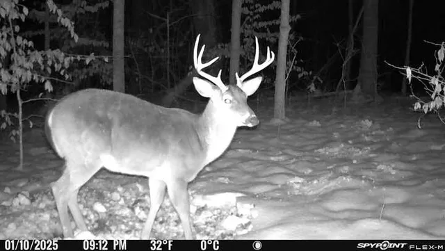 $1,399,000 | 240 Scenic Drive, Pulaski, TN 38478