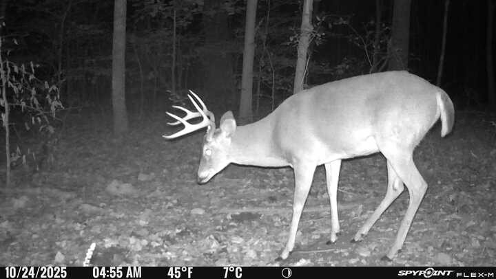 240 Scenic Drive Pulaski, TN 38478 - Photo 37 of 45