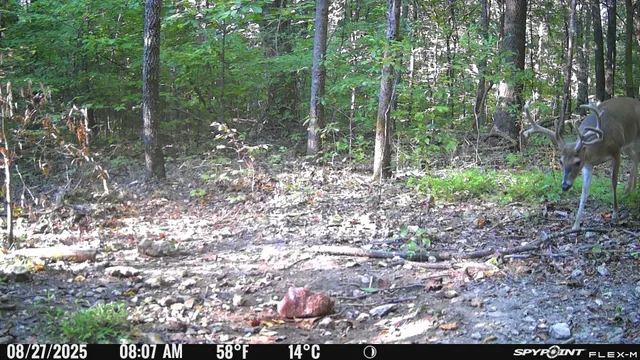 $1,399,000 | 240 Scenic Drive, Pulaski, TN 38478