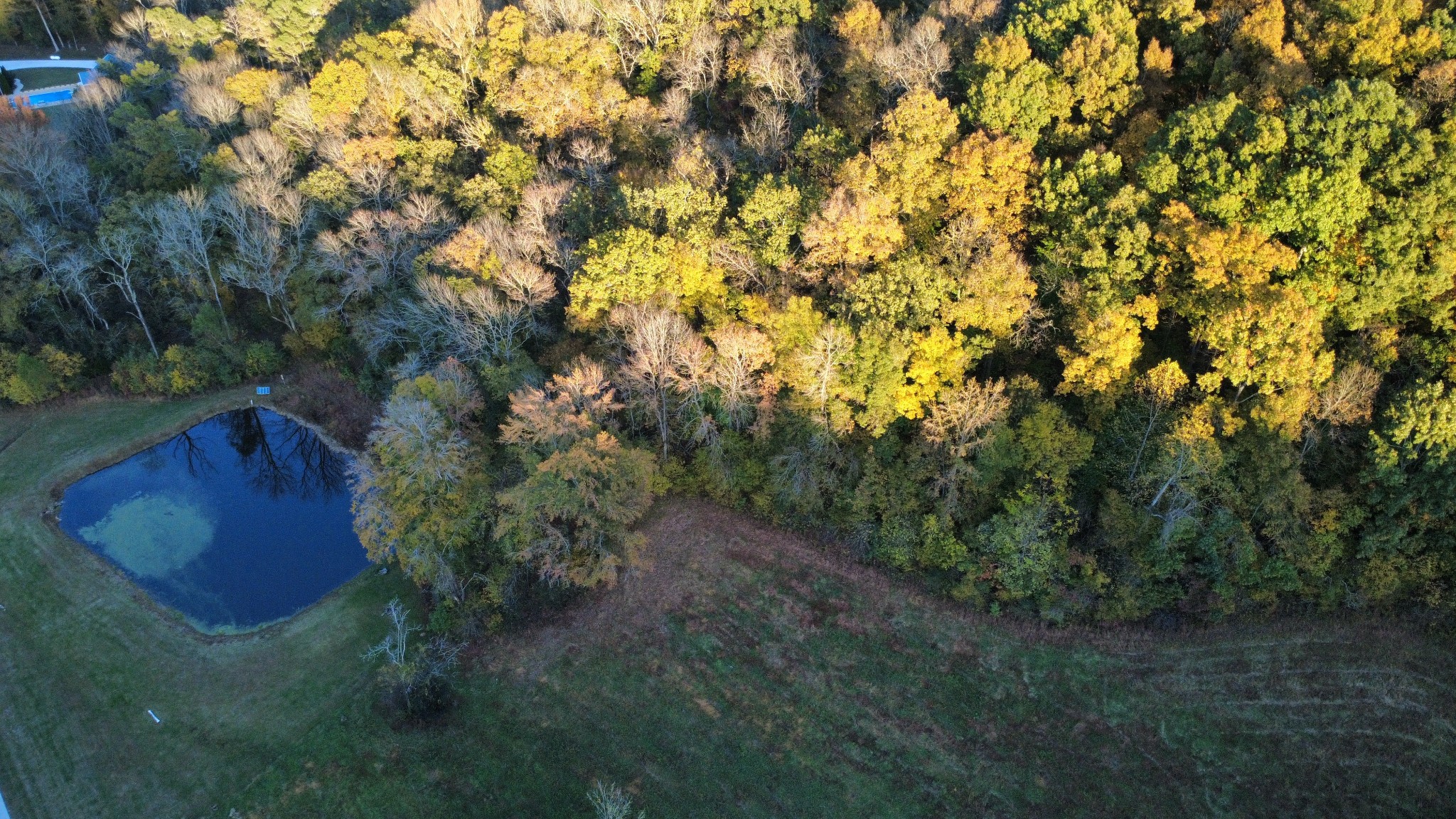 240 Scenic Drive Pulaski, TN 38478 - Photo 43 of 45 a view of a yard