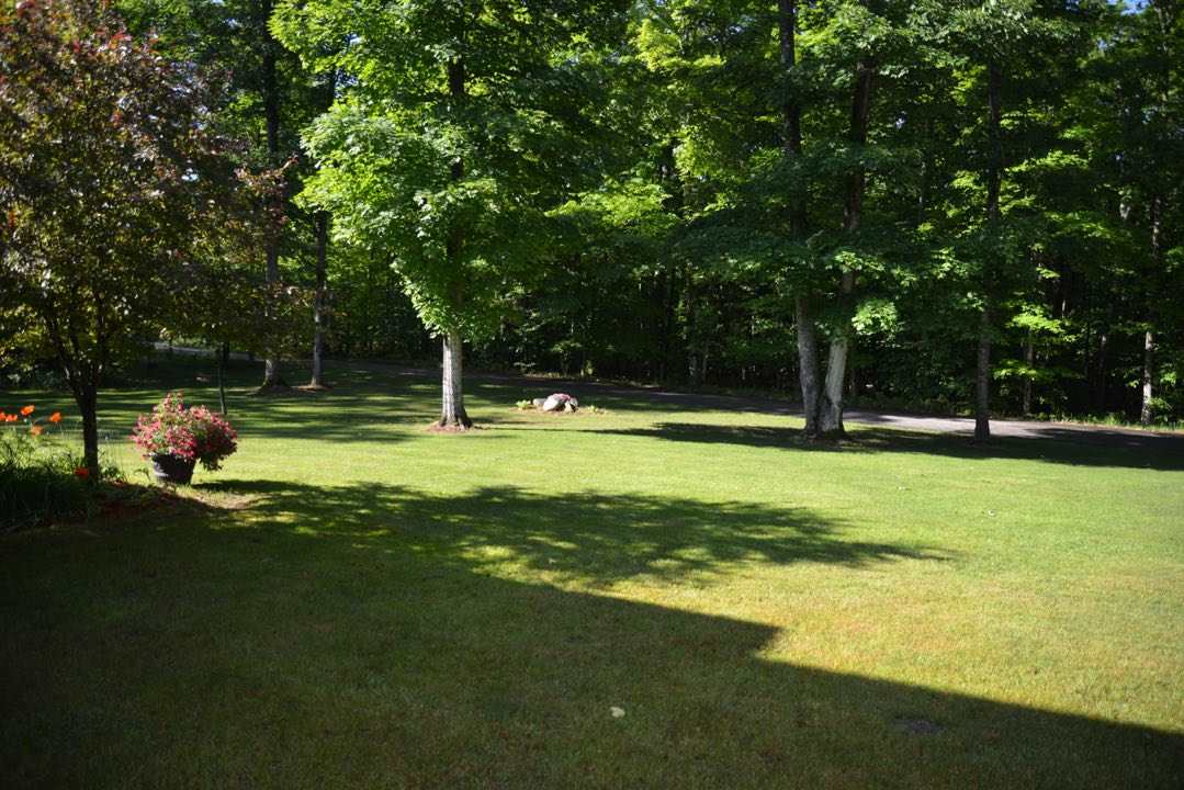 11094 Barnes Road Kewadin, MI 49648 - Photo 26 of 26 1833586-25.JPG