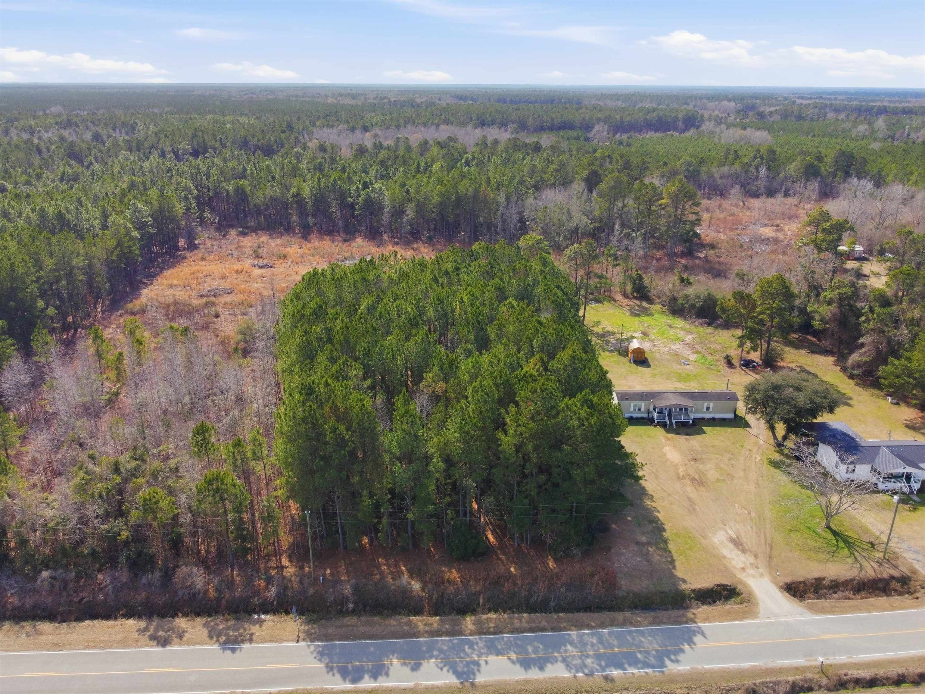 Gibson Road Greeleyville, SC 29056 - Photo 2 of 3