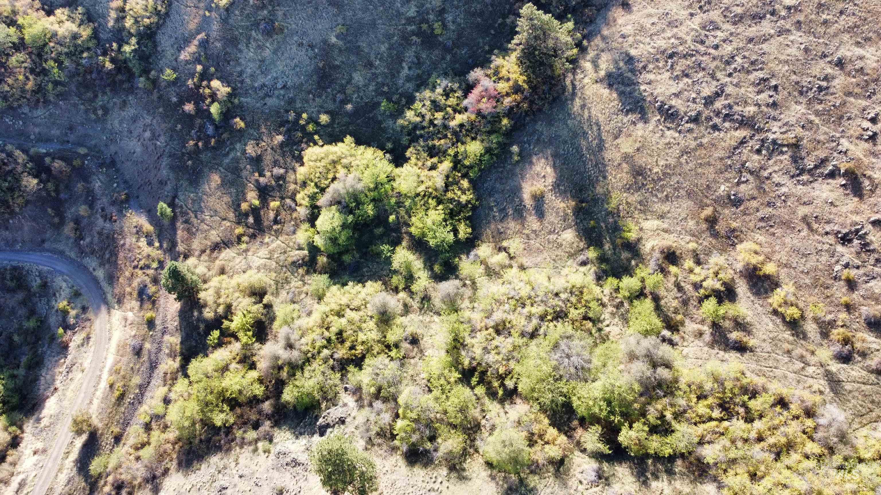 Tbd Big Canyon Road White Bird, ID 83554 - Photo 12 of 25 Gallery Image 12