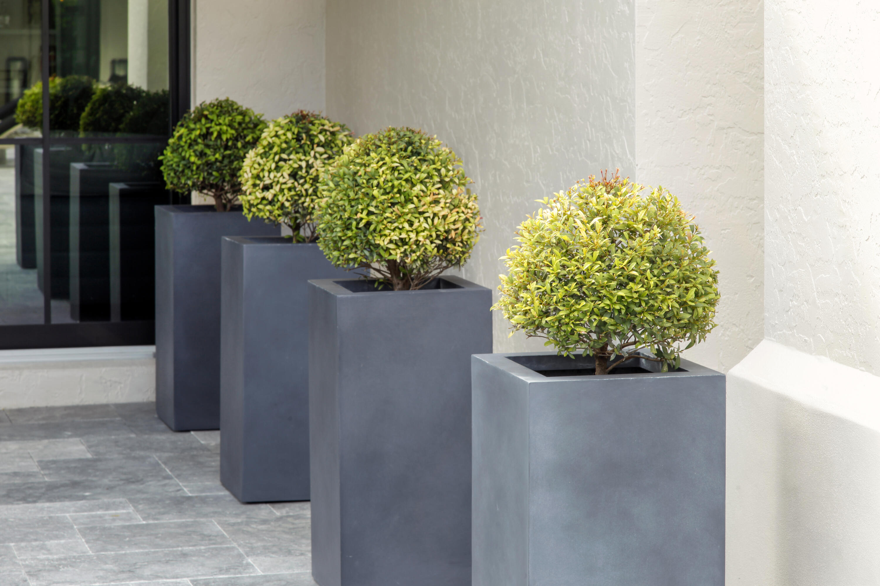 2555 Northwest 59th Street Boca Raton, FL 33496 - Photo 9 of 33 a close up of a vase of flowers