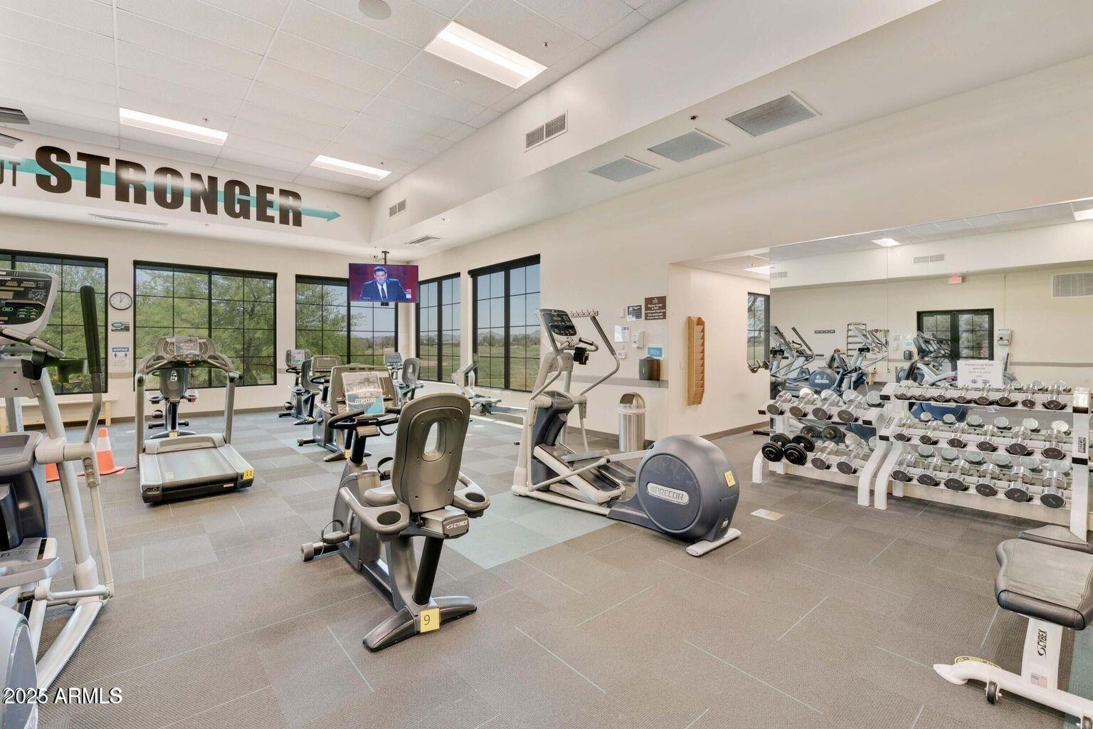 5402 South Ranger Court Gilbert, AZ 85298 - Photo 35 of 49 Fitness