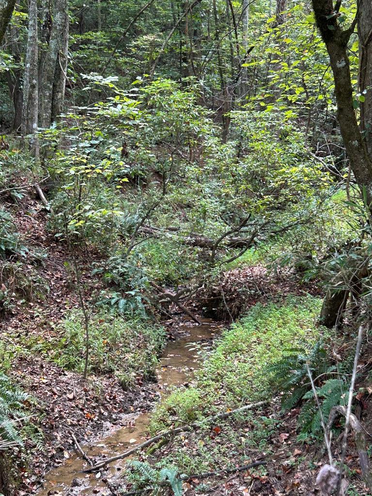 0 Yonah View Drive Cleveland, GA 30528 - Photo 2 of 6