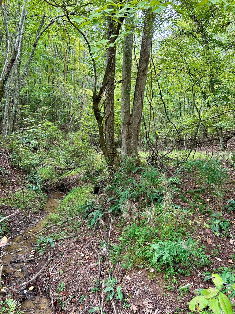 0 Yonah View Drive Cleveland, GA 30528 - Photo 4 of 6