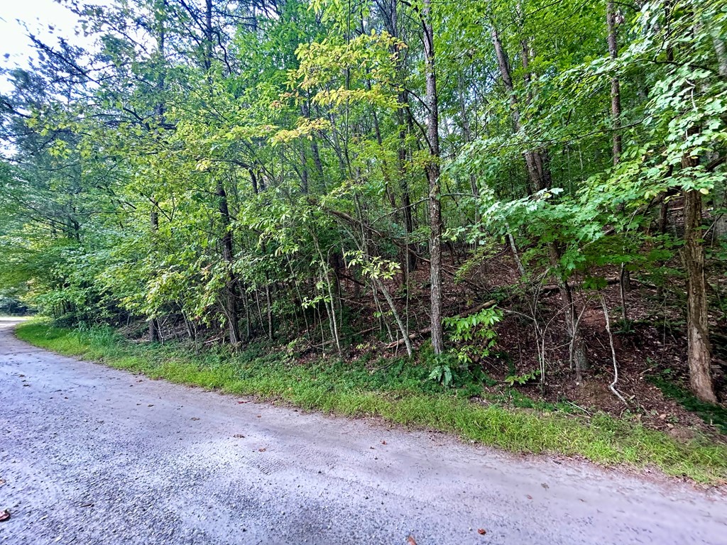 0 Yonah View Drive Cleveland, GA 30528 - Photo 5 of 6