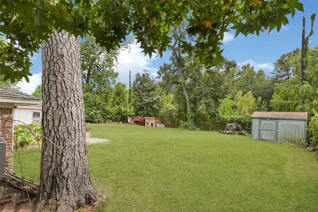 a view of a yard with a tree