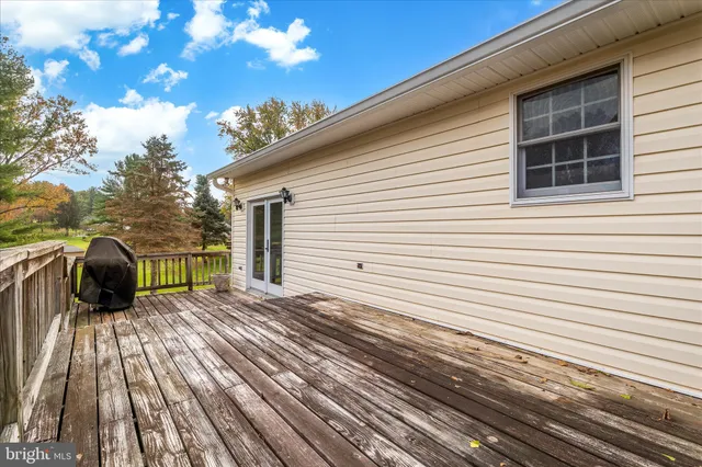 a view of yard with trees