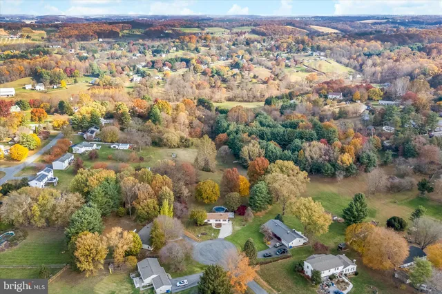 a view of a swimming pool with a yard and plants