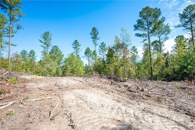 a view of a dry yard with trees in front of it
