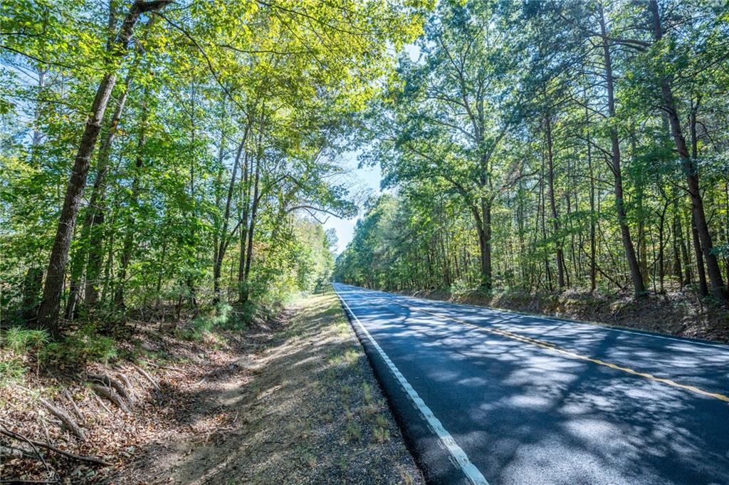 3805 Hwy 140 Ne Rydal Ga 30171 Northeast Rydal, GA 30171 - Photo 11 of 15 a view of a yard with plants and trees