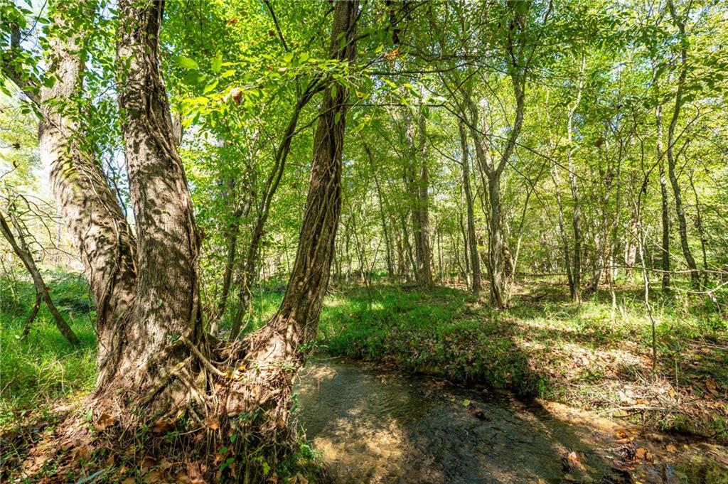 3805 Hwy 140 Ne Rydal Ga 30171 Northeast Rydal, GA 30171 - Photo 15 of 15 a backyard of a house with lots of green space