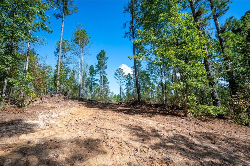 3805 Hwy 140 Ne Rydal Ga 30171 Northeast Rydal, GA 30171 - Photo 3 of 15 a view of a yard with plants and trees
