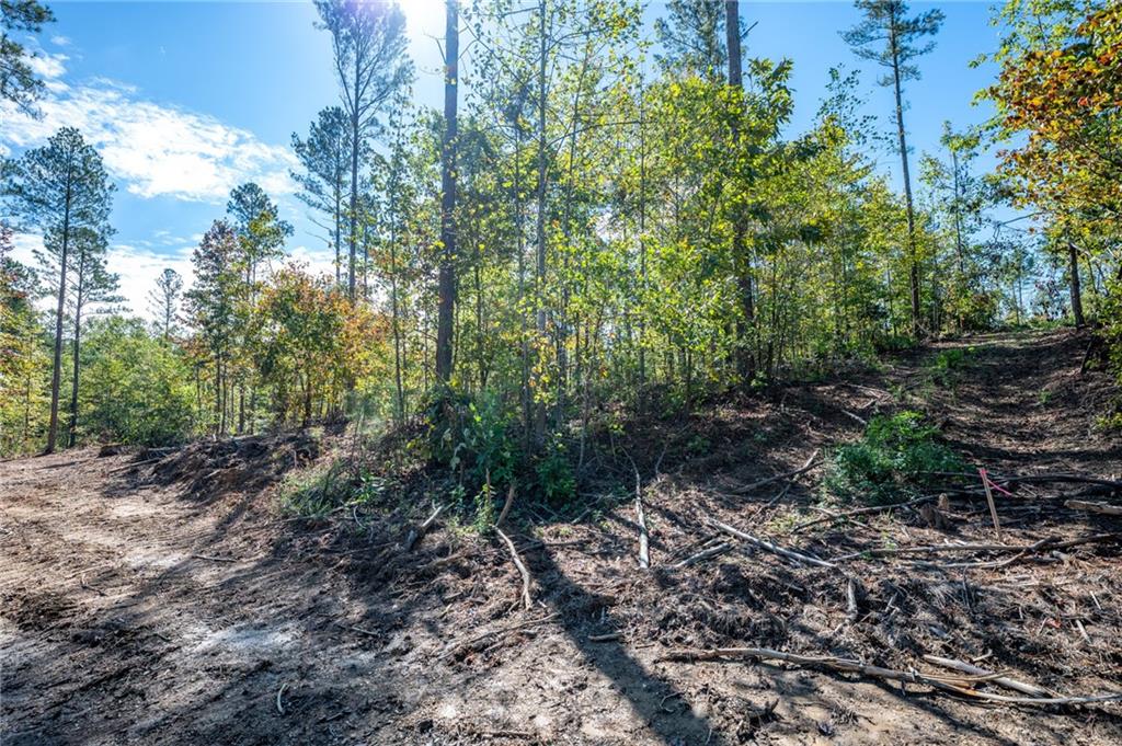 3805 Hwy 140 Ne Rydal Ga 30171 Northeast Rydal, GA 30171 - Photo 6 of 15 a big yard with lots of green space and deers