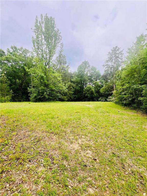 45303 Joe Thompson Road Franklinton, LA 70438 - Photo 1 of 8 Gallery Image 1