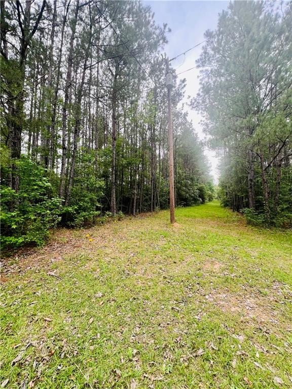 45303 Joe Thompson Road Franklinton, LA 70438 - Photo 2 of 8 Gallery Image 2
