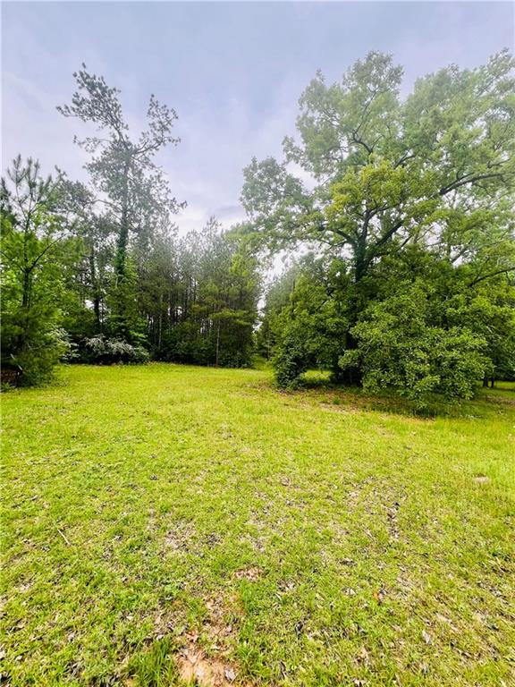 45303 Joe Thompson Road Franklinton, LA 70438 - Photo 3 of 8 Gallery Image 3