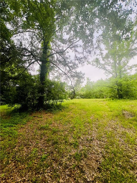45303 Joe Thompson Road Franklinton, LA 70438 - Photo 4 of 8 Gallery Image 4