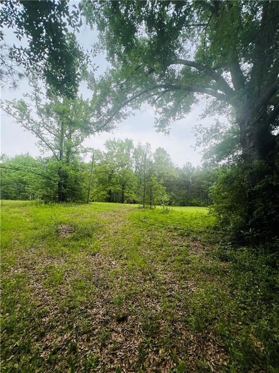 45303 Joe Thompson Road Franklinton, LA 70438 - Photo 5 of 8 Gallery Image 5