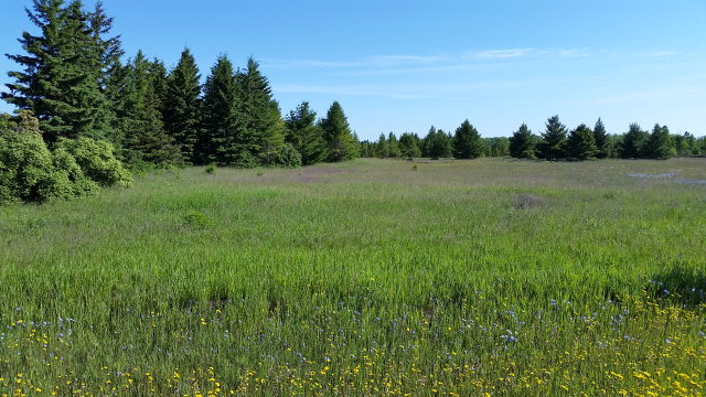 Lot #1 Grove Road Baileys Harbor, WI 54202 - Photo 1 of 1