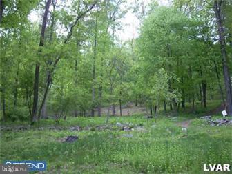 a big yard with lots of green space and deers
