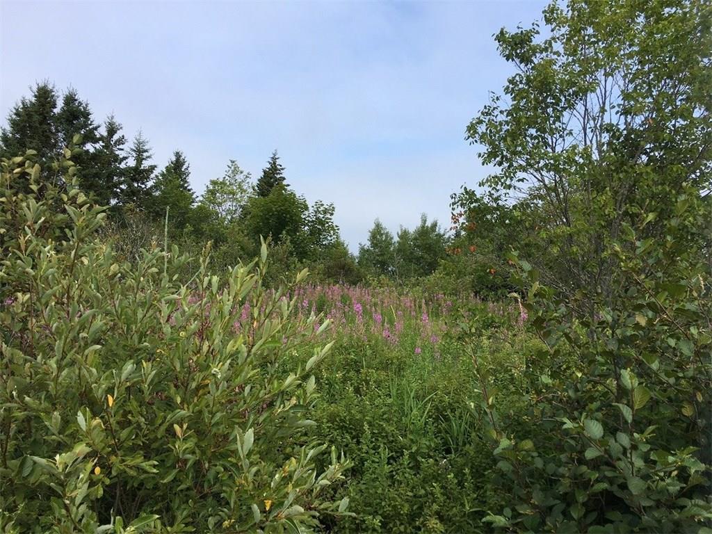 Map 8-lot Map 8-lot County Road Lubec, ME 04652 - Photo 11 of 11 Photo
