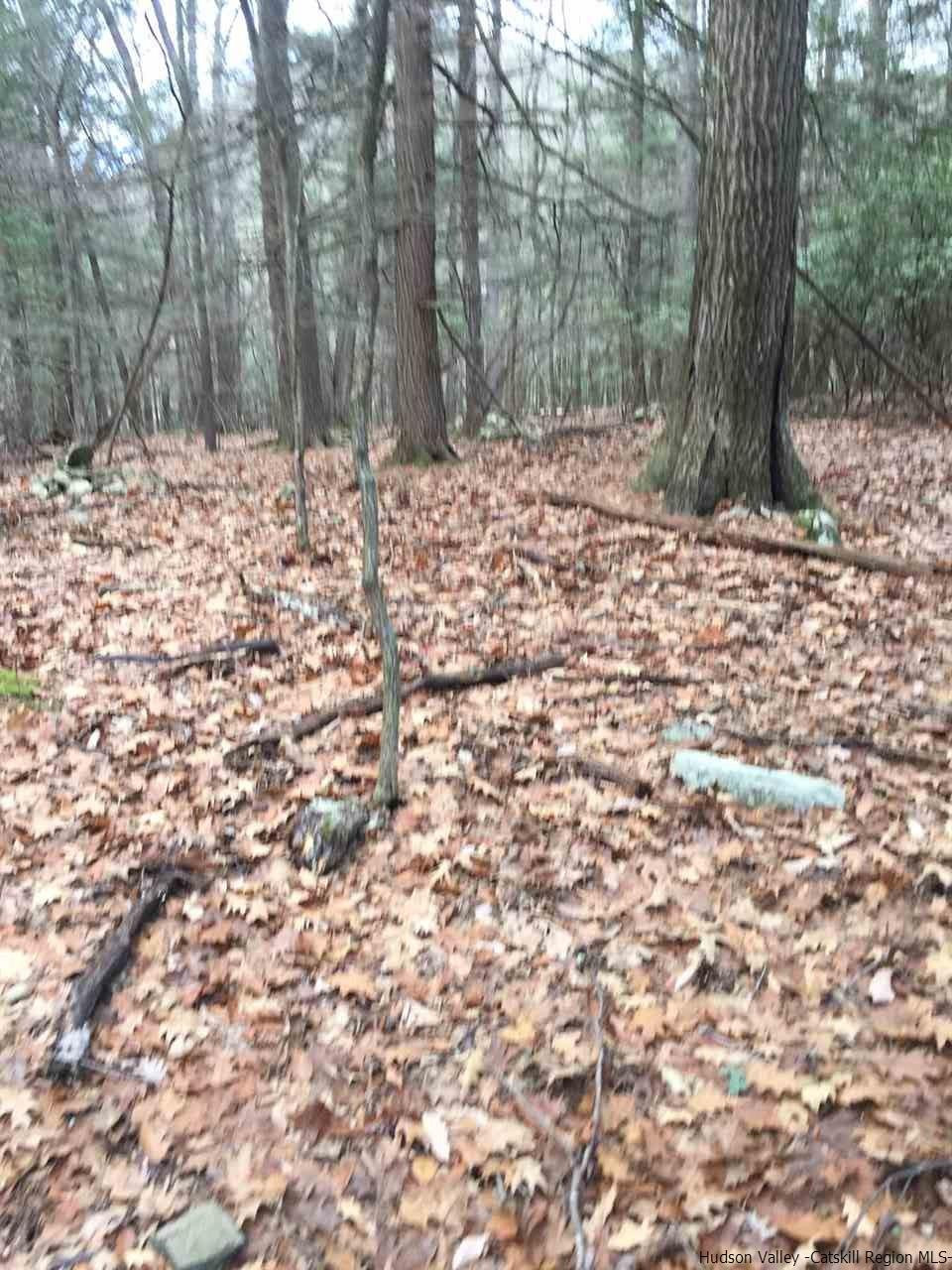 Tbd Tbd Angus Lane, Unit ROUTE 212 Bearsville, NY 12409 - Photo 11 of 24 Photo 12