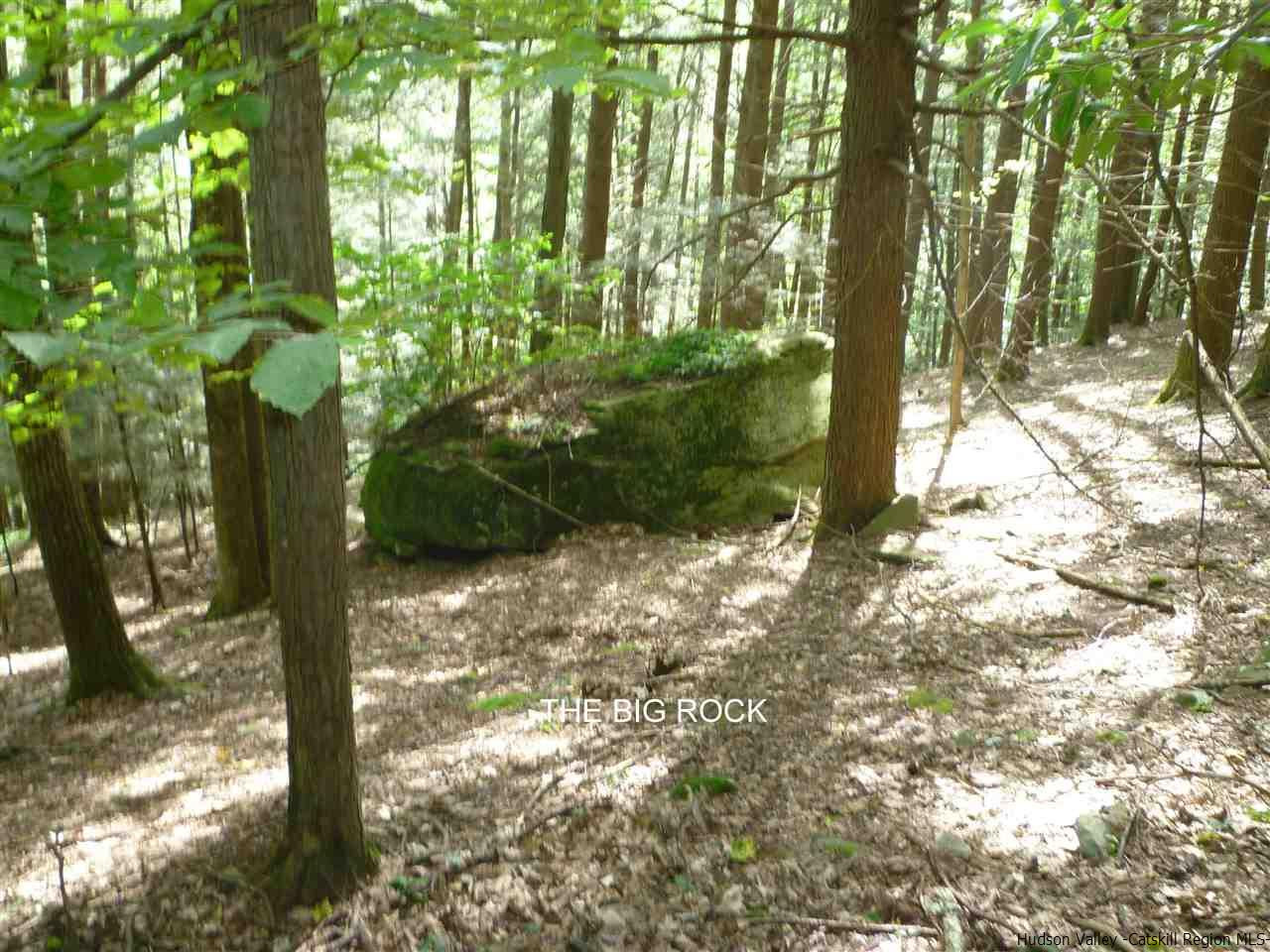 Tbd Tbd Angus Lane, Unit ROUTE 212 Bearsville, NY 12409 - Photo 12 of 24 Photo 13