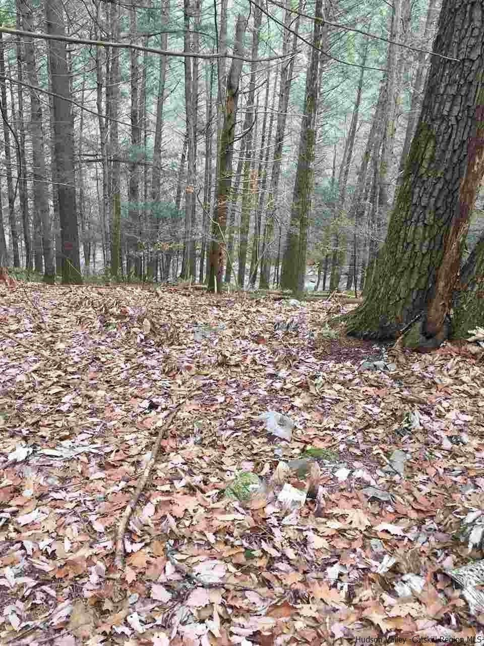 Tbd Tbd Angus Lane, Unit ROUTE 212 Bearsville, NY 12409 - Photo 14 of 24 Photo 15