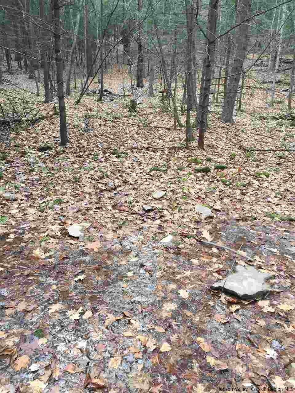 Tbd Tbd Angus Lane, Unit ROUTE 212 Bearsville, NY 12409 - Photo 15 of 24 Photo 16